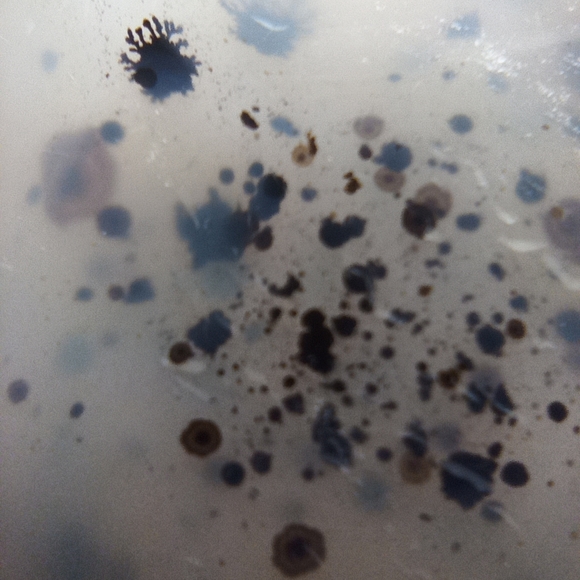 Dendretic Agate Heart - Picture 7 of 10